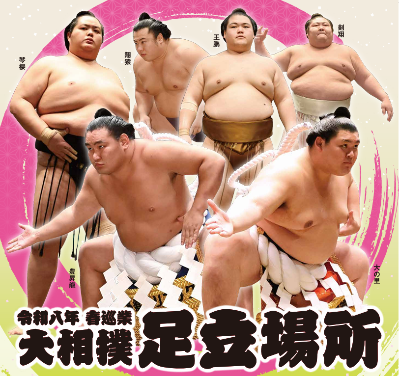 大相撲巡業 西尾場所 チケット 1名分 2019.4.7（日） 西尾市総合体育館 